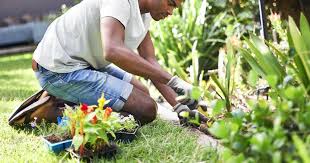 Gardening and agric Technics